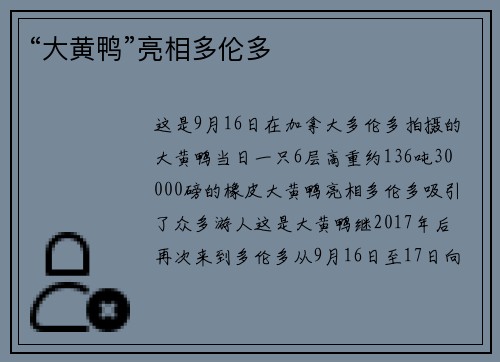 “大黄鸭”亮相多伦多