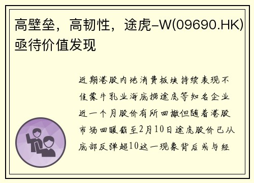 高壁垒，高韧性，途虎-W(09690.HK)亟待价值发现