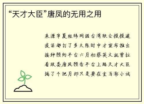 “天才大臣”唐凤的无用之用
