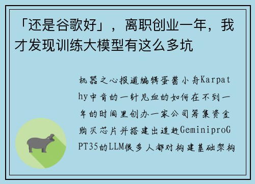 「还是谷歌好」，离职创业一年，我才发现训练大模型有这么多坑