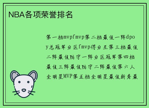 NBA各项荣誉排名